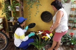 Paraná não tem cidades com epidemia de dengue